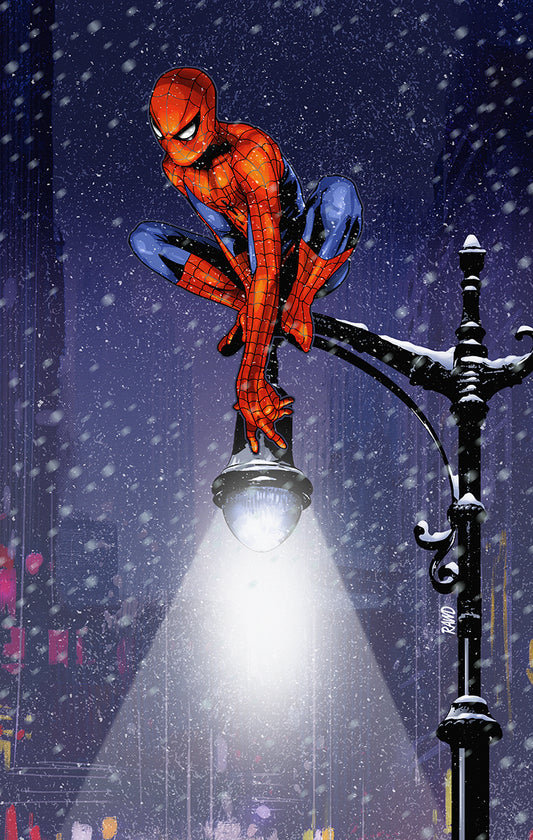 Spidey print