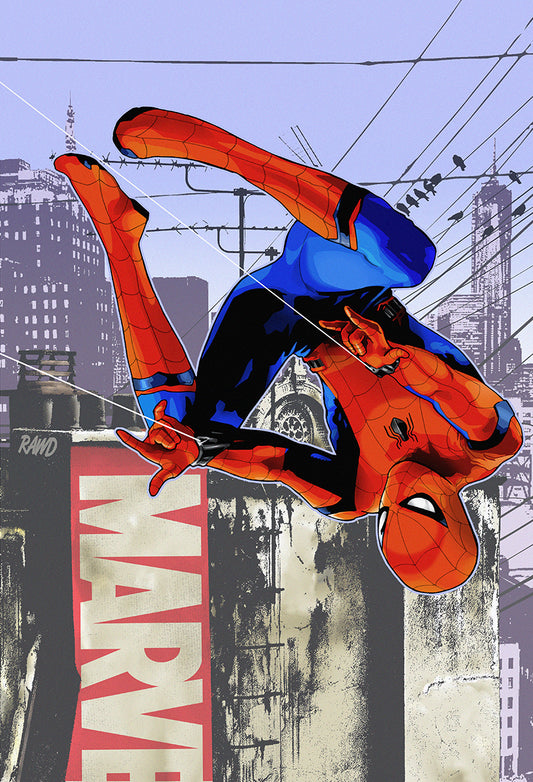 Spiderman print